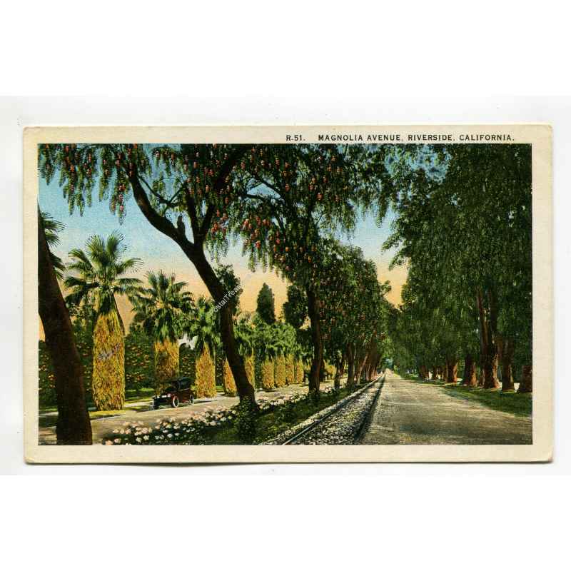 Magnolia Avenue Riverside California postcard