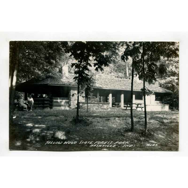 yellow-wood-state-forest-park-nashville-indiana-postcard