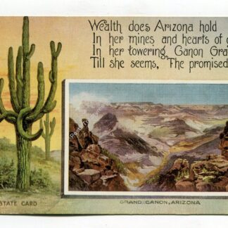 Arizona State Postcard