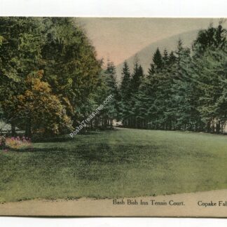 bash-bish-inn-tennis-court-copake-falls-new-york-47
