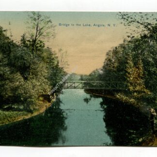 bridge-to-the-lake-angola-new-york-50