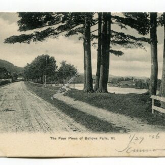four-pines-of-bellows-falls-vermont-13