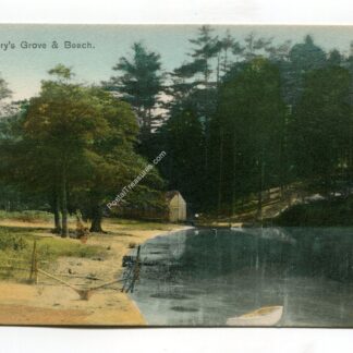 kingsbury-s-grove-and-beach-127