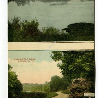 maplewood-park-lake-attica-maplewood-drive-attica-new-york-53