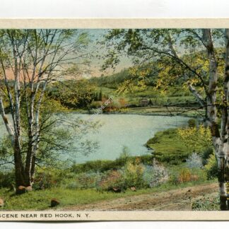 scene-near-red-hook-new-york-46