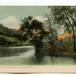 scene-on-passumpsic-river-near-barnet-vermont-18
