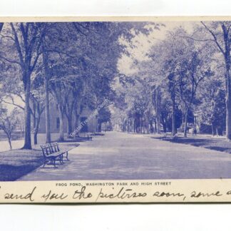 frog-pond-washington-park-and-high-street-261
