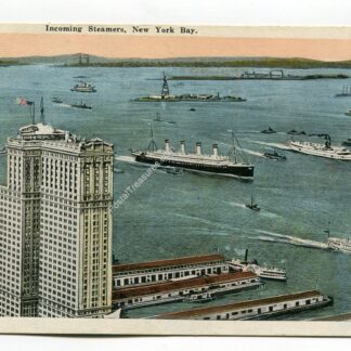 incoming-steamers-new-york-bay-303