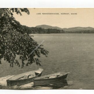 lake-pennesseewassee-norway-maine-284