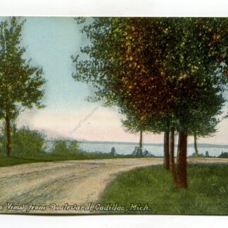 lake-view-from-boulevard-cadillac-michigan-243