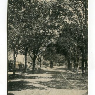 main-street-franklin-massachusetts-151