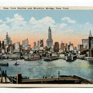 new-york-skyline-and-brooklyn-bridge-new-york-294