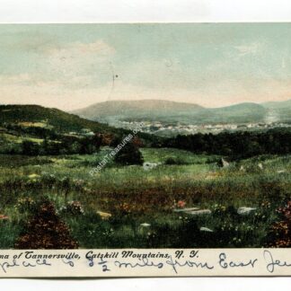 panorama-of-tannersville-catskill-mountains-new-york-320