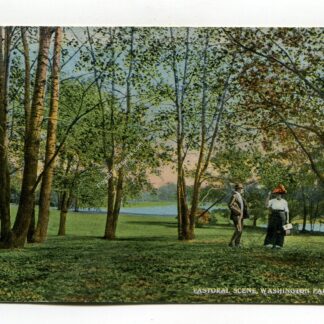 pastoral-scene-washington-park-chicago-239
