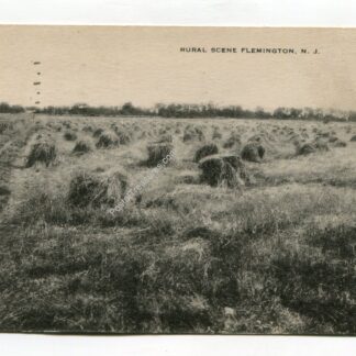 rural-scene-flemington-new-jersey-180