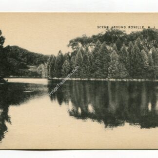 scene-around-roselle-new-jersey-196