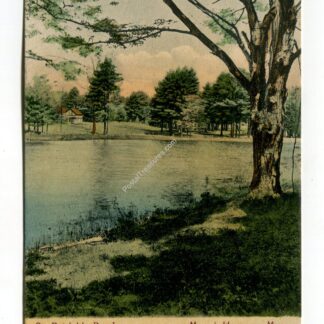 st-patrick-s-pond-mount-hermon-massachusetts-138