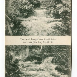 two-trout-brooks-near-averill-lake-and-lake-side-inn-averill-vermont-220