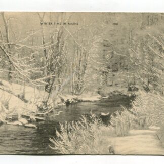 winter-time-in-maine-280