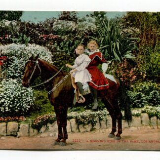 Ride in Park California