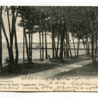 Along Beach Wequetonsing Michigan