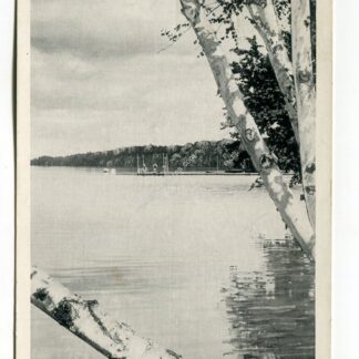 birches-at-the-water-s-edge-lakewood-skowhegan-maine-365