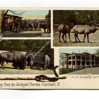 greetings-from-the-zoological-garden-cincinnati-ohio-339