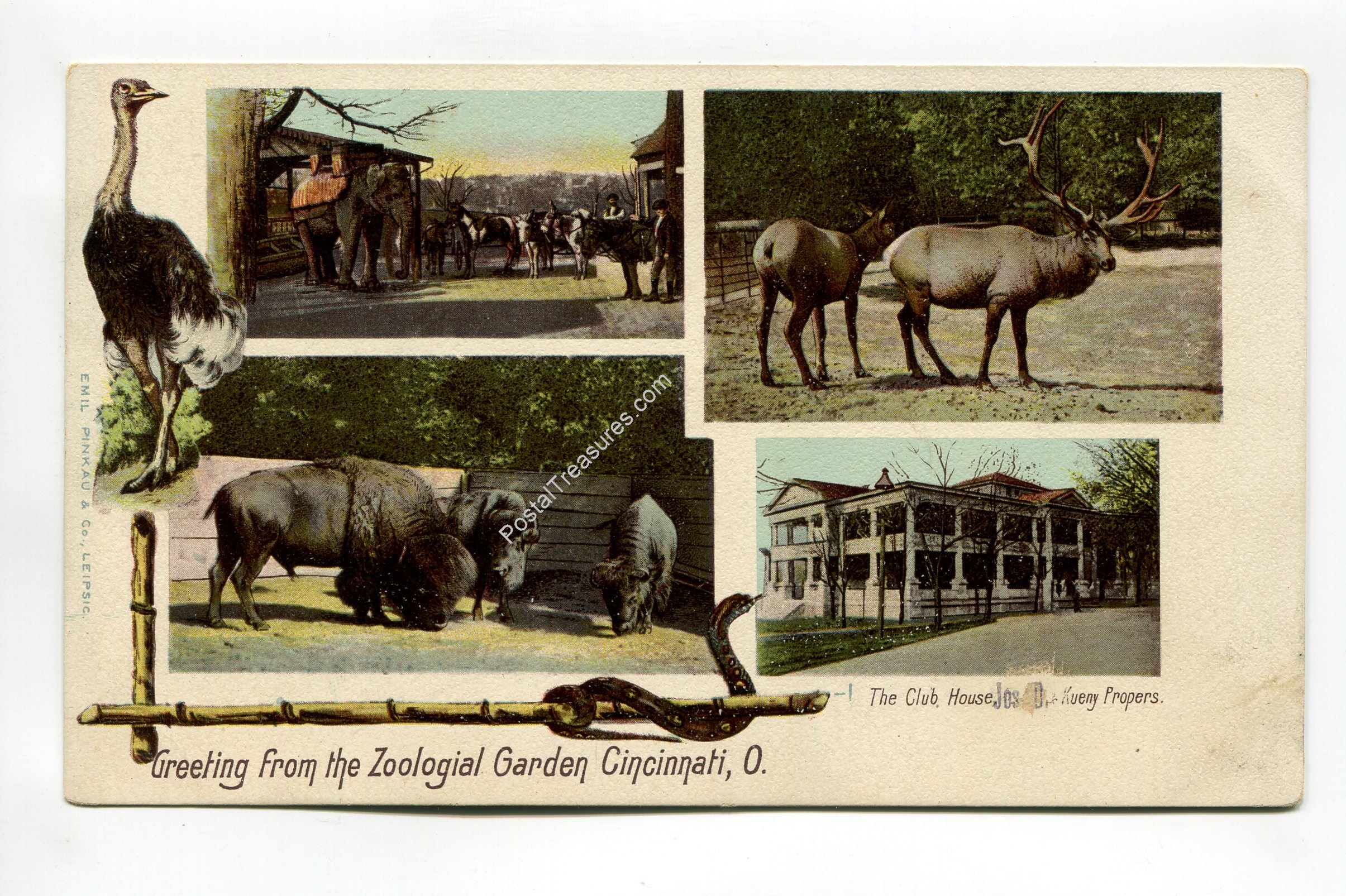 greetings-from-the-zoological-garden-cincinnati-ohio-339