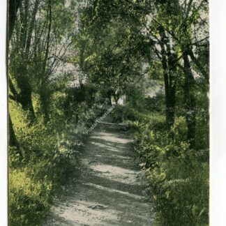 lovers-lane-albion-michigan-435