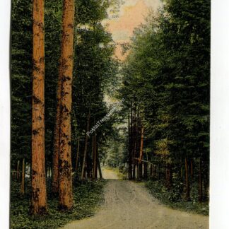 park-road-east-bay-traverse-city-michigan-433