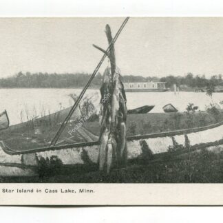 star-island-in-cass-lake-minnesota-543