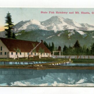 state-fish-hatchery-and-mt-shasta-california-592