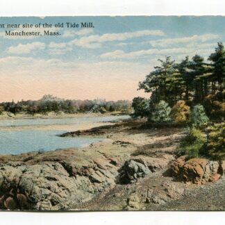 pine-point-near-site-of-the-old-tide-mill-manchester-massachusetts-695