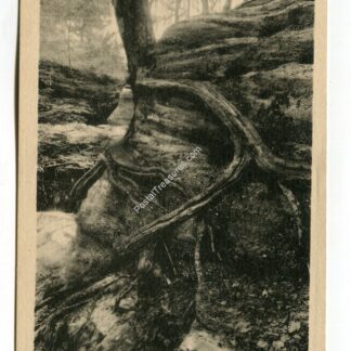 rocks-at-chesterland-caves-near-cleveland-ohio-789