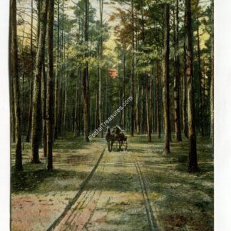 cathedral-drive-lakewood-new-jersey-857