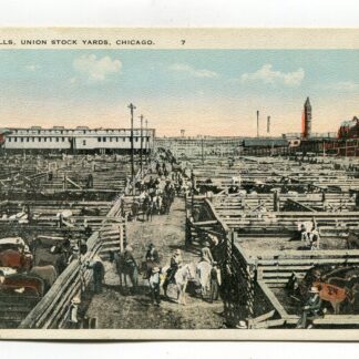 cattle-stalls-union-stock-yards-chicago-1047