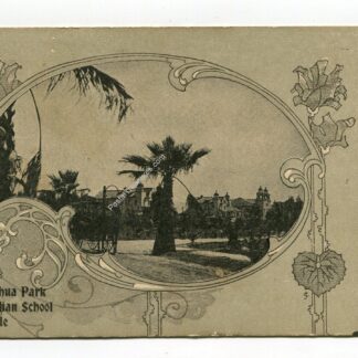 chihuahua-park-and-indian-school-riverside-898