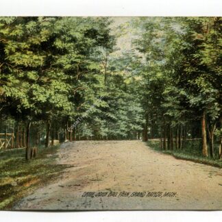 drive-john-ball-park-grand-rapids-michigan-950