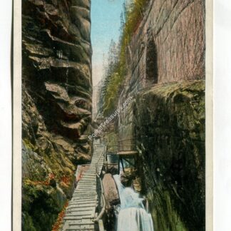 flume-franconia-notch-white-mountains-new-hampshire-1039