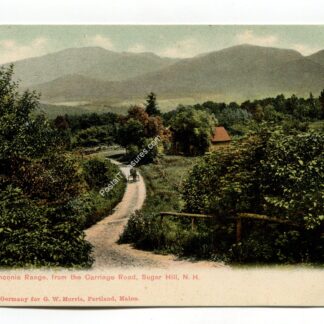franconia-range-from-the-carriage-road-sugar-hill-new-hampshire-994