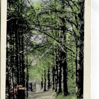 path-to-macdowell-s-cabin-peterboro-new-hampshire-1003