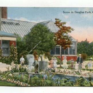 scene-in-douglas-park-chicago-1050