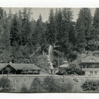 shasta-springs-california-918