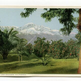 snow-and-oranges-california-906