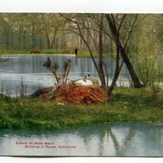 swan-in-her-nest-garfield-park-chicago-1057
