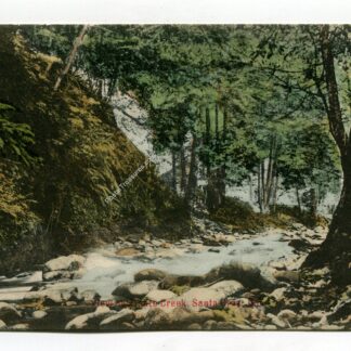 view-on-ziante-creek-santa-cruz-california-932