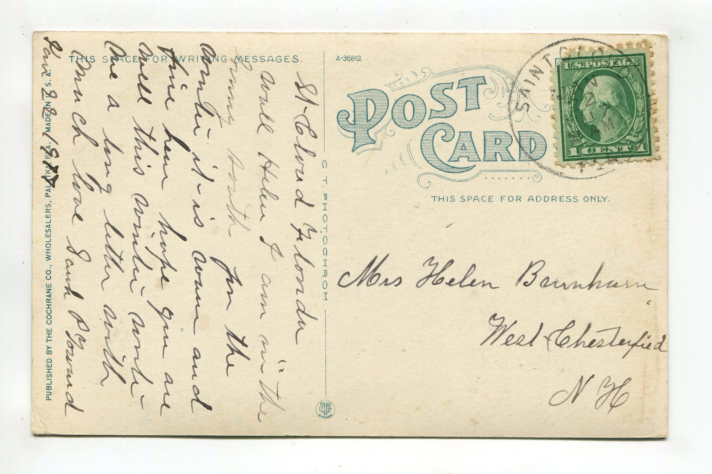 a-profitable-crop-scene-in-an-orange-grove-florida-a16060