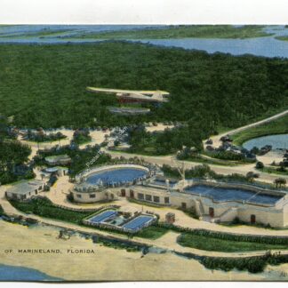 Air View Marineland Florida