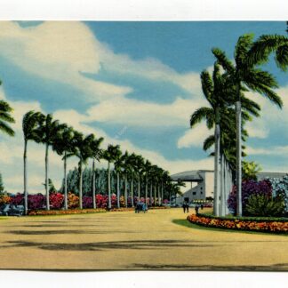 entrance-to-gulfstream-park-race-course-btwn-hollywood-and-miami-fla-1236