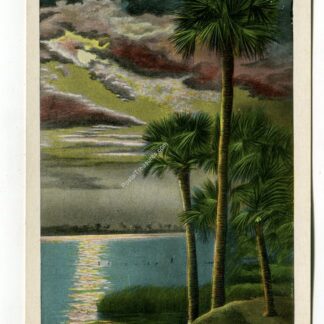 eventide-in-florida-1244